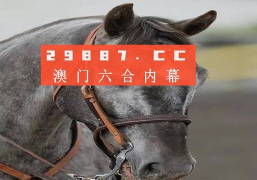 澳门一肖一码一一特一中，专家意见解释定义|最佳精选