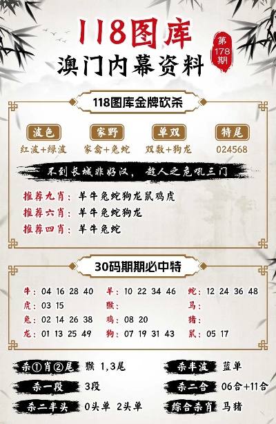 澳门管家婆100%精准准确，专家意见解释定义|最佳精选