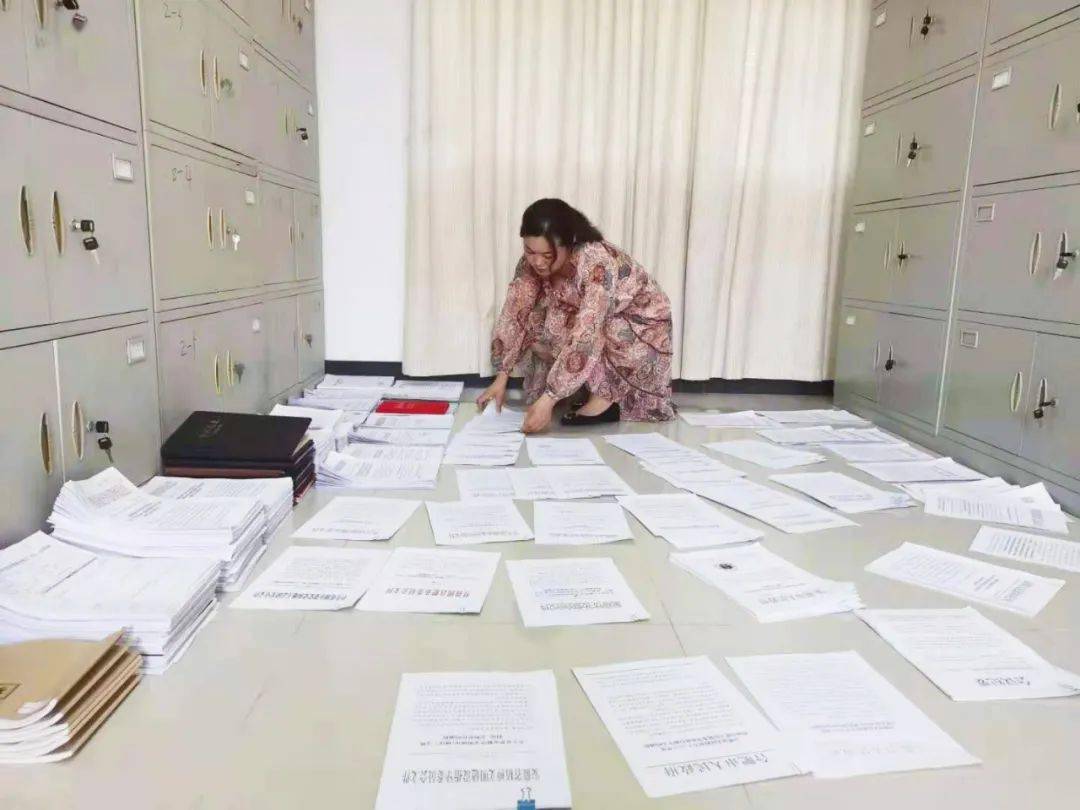 免费开放新门内部资料，全面释义与落实的深度探讨