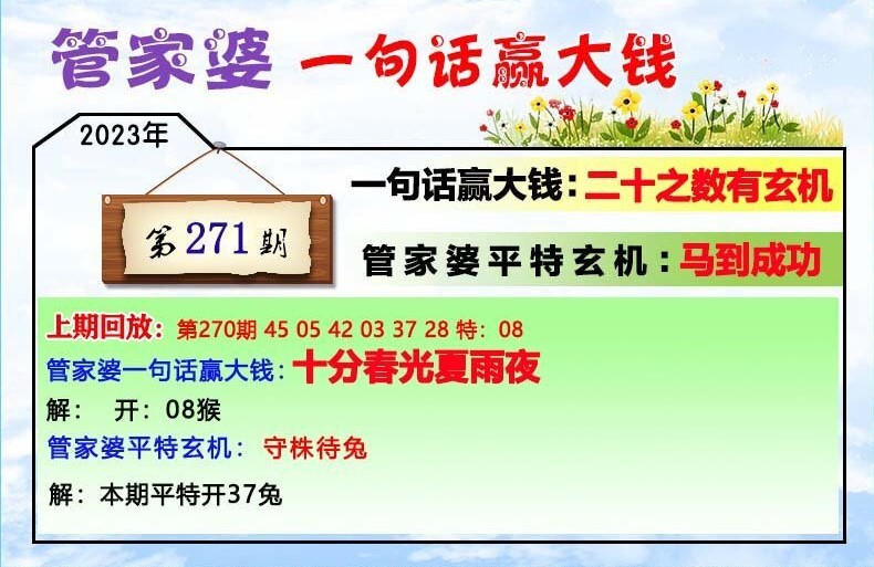 管家婆一码中一肖9.9是多少，精选解析解释落实