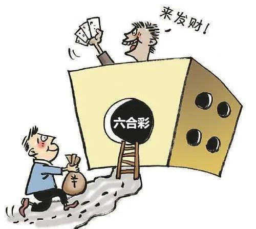 香港澳门开奖结果 开奖结果记录，全面释义解释落实