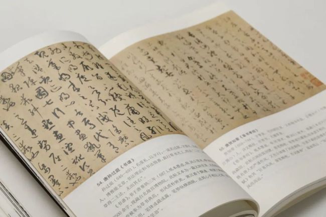 最准一肖100%中一奖，精选解析解释落实