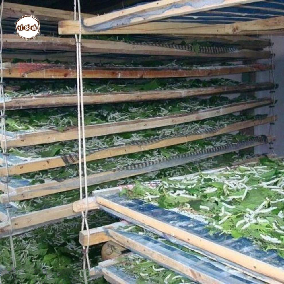 澳门新风貌，精准龙门蚕的精选解析与实施路径