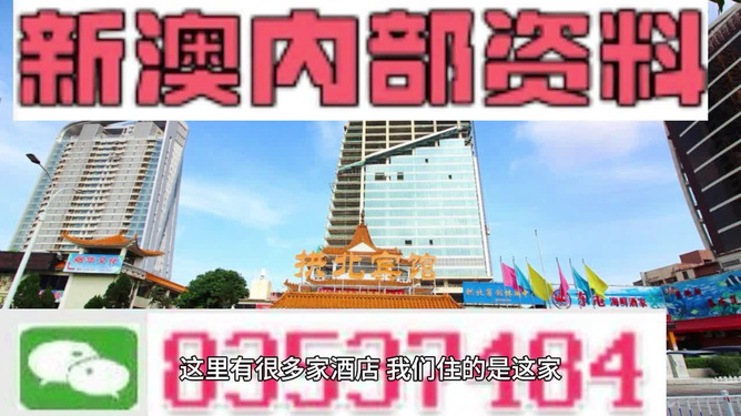 2025新澳门正版免费正题，精选解析解释落实
