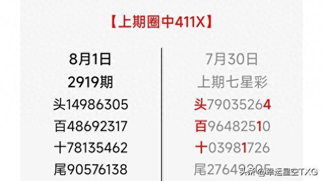 澳门四肖预测，揭秘全面释义与科学分析