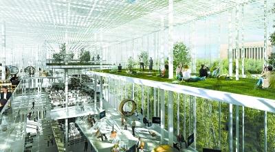 2025年澳门天天彩大全，精选解析与未来展望