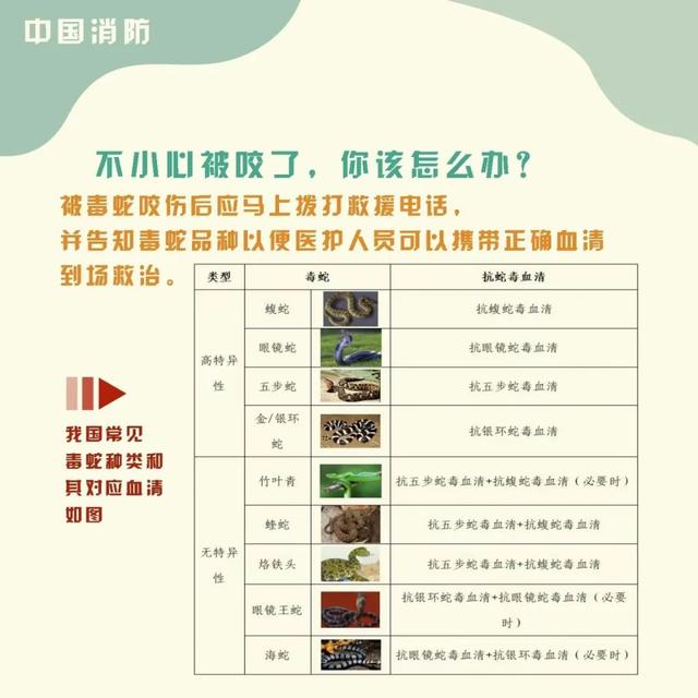 新澳门精准四肖期期中特公开蛇立东，精选解析解释落实