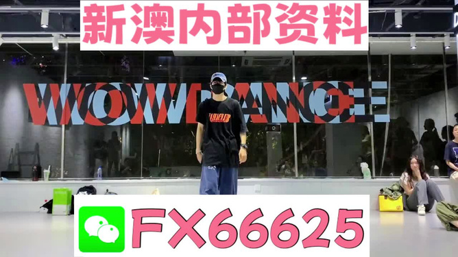 全面释义与落实，新澳门精准资料大全管家婆料