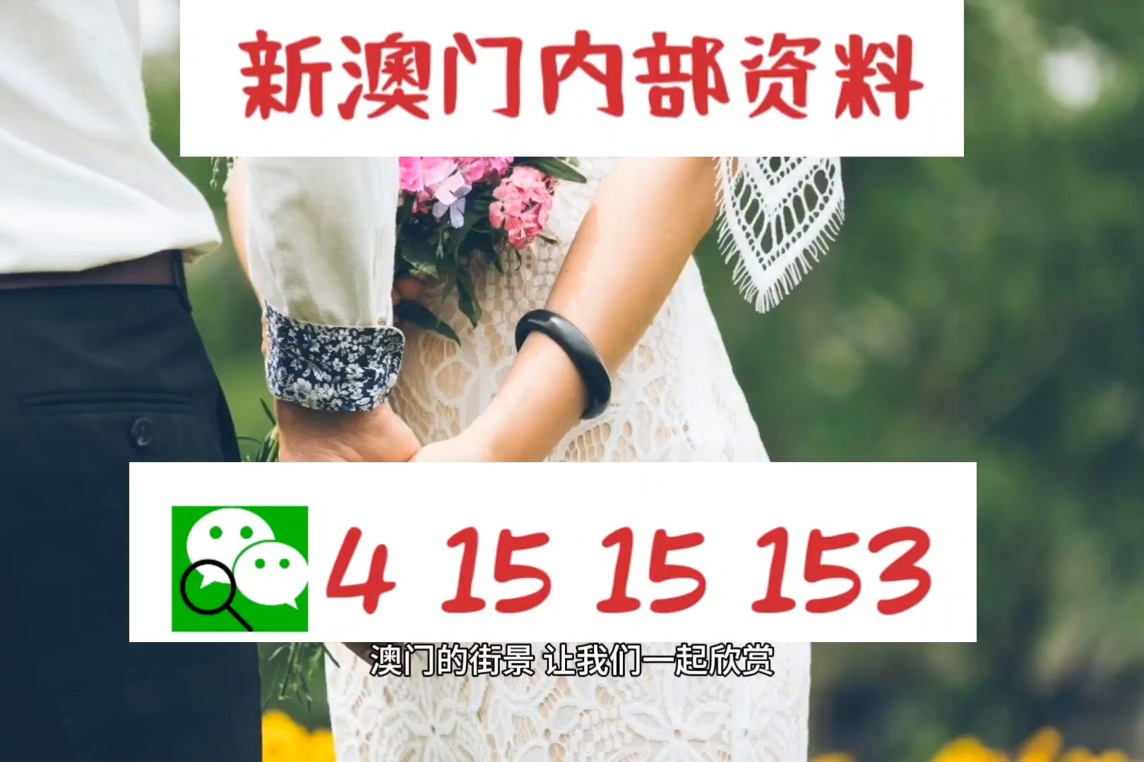 新澳门最精准免费大全最新，精选解析解释落实