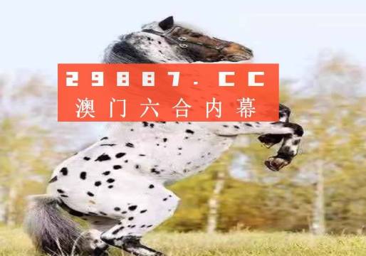 澳门必中一肖一码四不像，全面释义解释落实