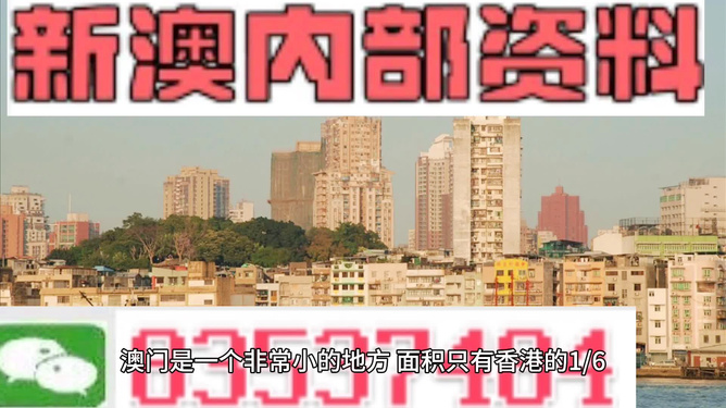新澳门全年免费料精准，精选解析解释落实