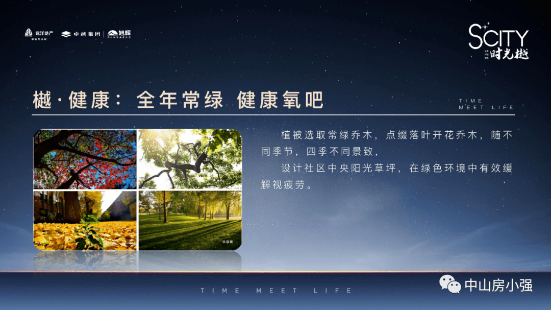 澳门一码一肖一待一中今晚，精选解析与理性解读