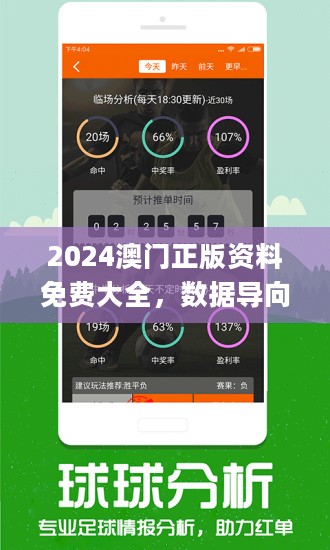 澳门最精准免费资料大放送，词语释义解释落实