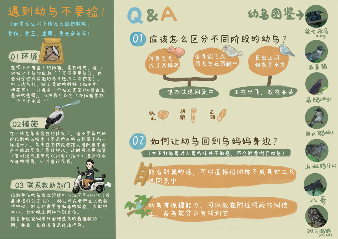 管家婆必出一中，精选解析解释落实