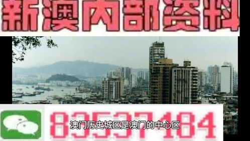 新澳门精准免费大全，精选解析、解释与落实的深度探讨
