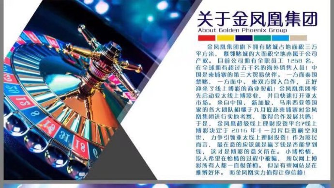 金凤凰理财最新消息