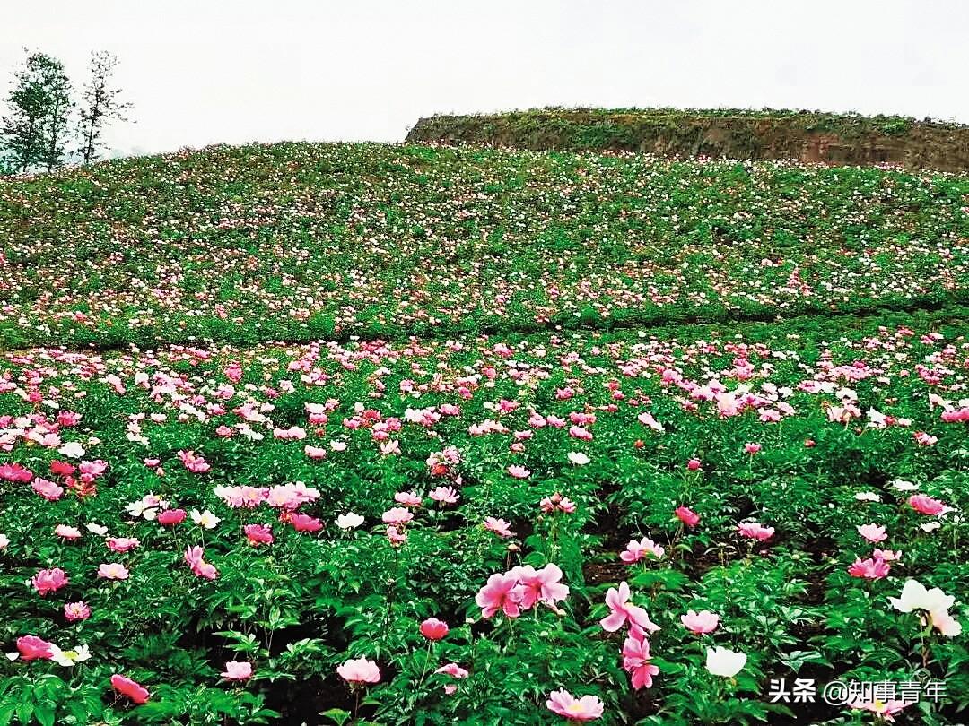 资讯 第11页